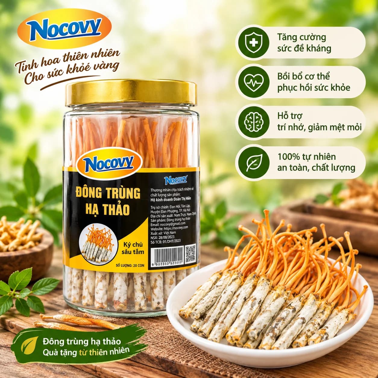 Đông trùng hạ thảo ký chủ sâu Nocovy: Cơ chế và thực tế