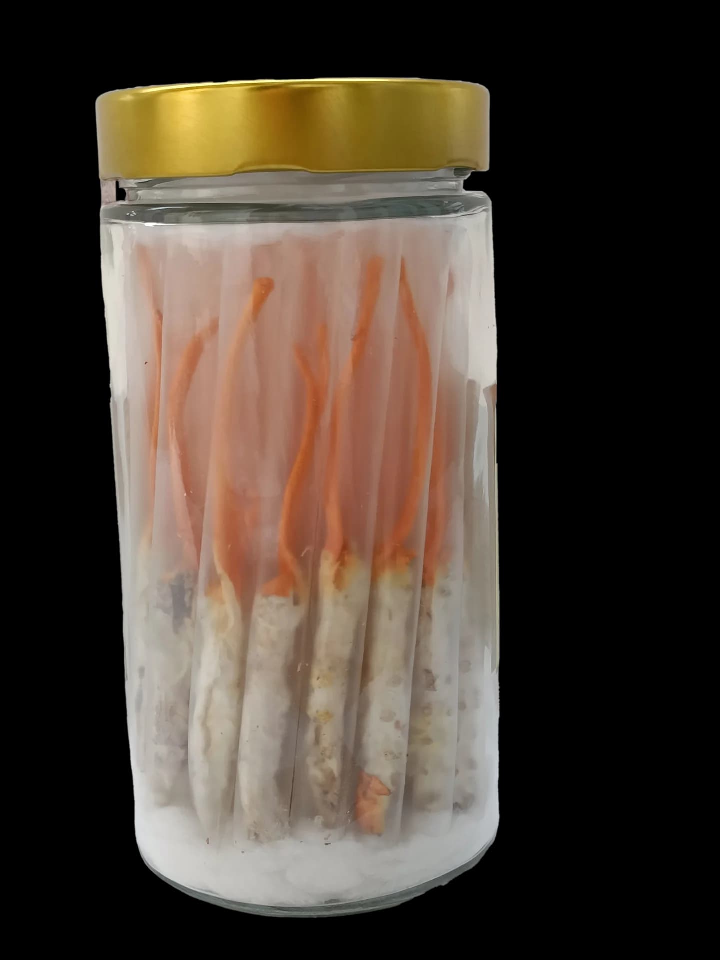 Đông trùng hạ thảo ký chủ sâu Nocovy: Cơ chế và thực tế — ảnh 2