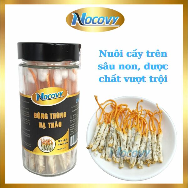 Đông trùng hạ thảo nguyên con ký chủ sâu tằm - Công dụng hữu ích cho sức khỏe