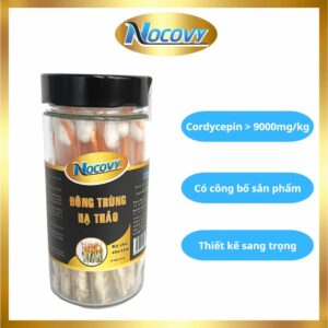 Đông trùng hạ thảo nguyên con ký chủ sâu tằm - Công dụng hữu ích cho sức khỏe