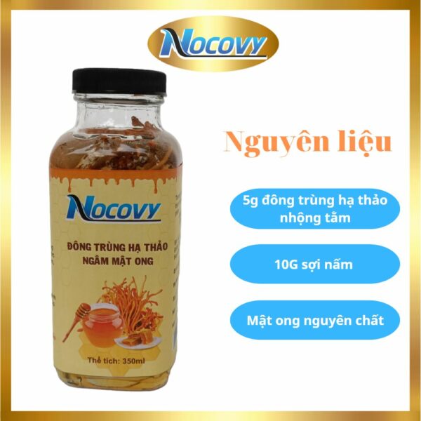 Đông trùng hạ thảo ngâm mật ong