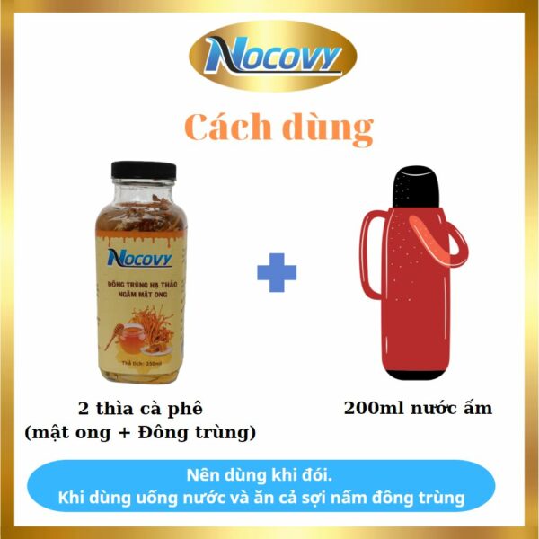 Đông trùng hạ thảo ngâm mật ong