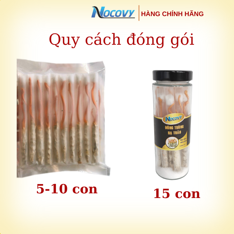 Cách bảo quản đông trùng hạ thảo khô bằng túi hút chân không